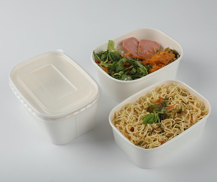 rectangular paper lunch box